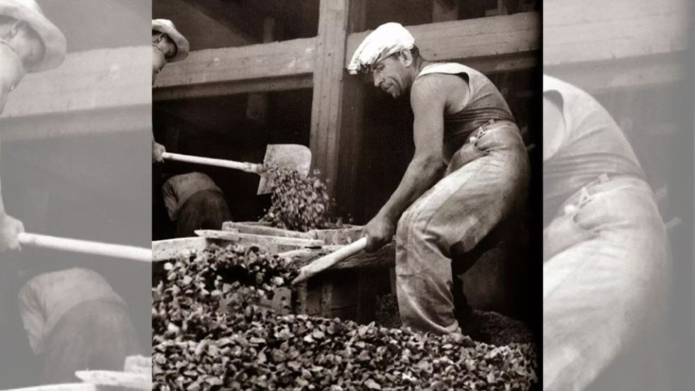 ergates 1965